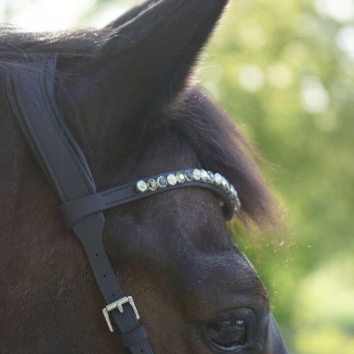 Kavalkade bitless bridle light