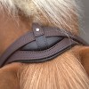 Kavalkade 2in1 Halter-Bridle Artemis