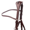 Kavalkade 2in1 Halter-Bridle Artemis