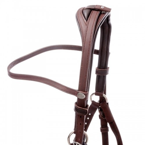 Kavalkade 2in1 Halter-Bridle Artemis