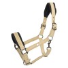 Imperial Riding SS26 Halter IRHJewel Mesh