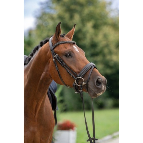 Covalliero Swedish Bridle