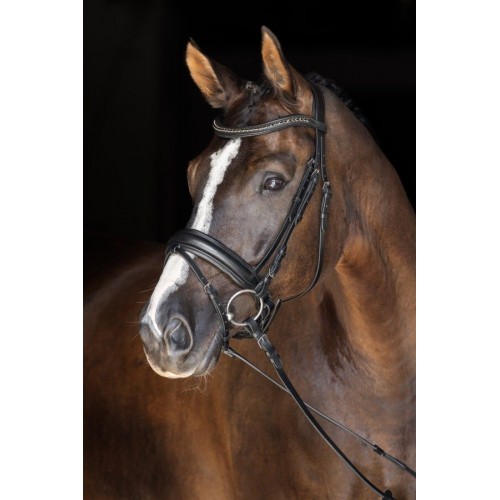 Covalliero Swedish Bridle