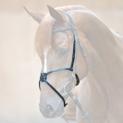 Kavalkade Mexican Noseband