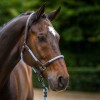 HV Polo SS26 Halter HVPFranka
