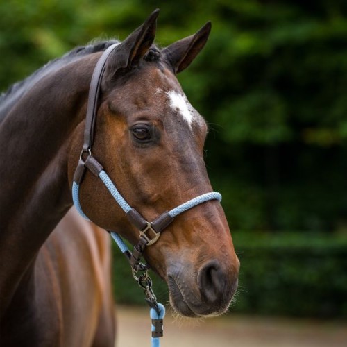 HV Polo SS26 Halter HVPFranka