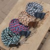Harry's Horse SS26 Elastic Belt
