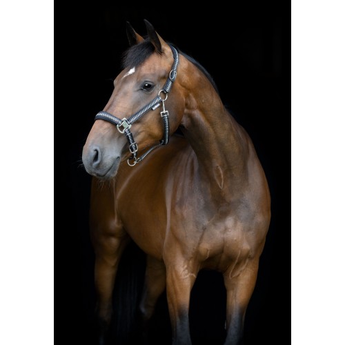 HorseGuard SS26 Cole halter