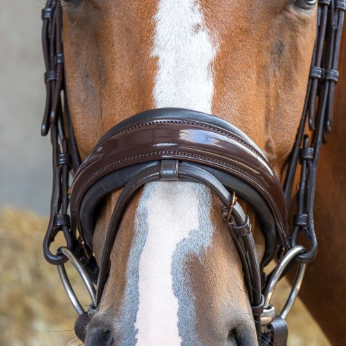 Harry's Horse Copper Bridle
