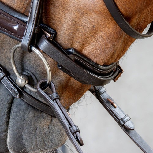 Harry's Horse Copper Bridle