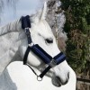 Kavalkade Halter Glitter Star