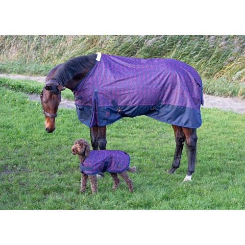Harry's Horse FW'24 Waterproof Dog Rug