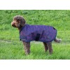 Harry's Horse FW'24 Waterproof Dog Rug
