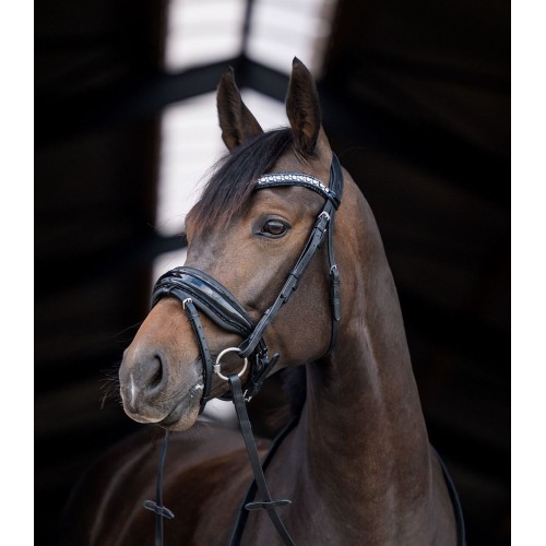 HB Showtime Stockholm Bridle