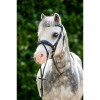 HB Showtime Stockholm Bridle