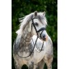 HB Showtime Stockholm Bridle