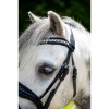 HB Showtime Stockholm Bridle