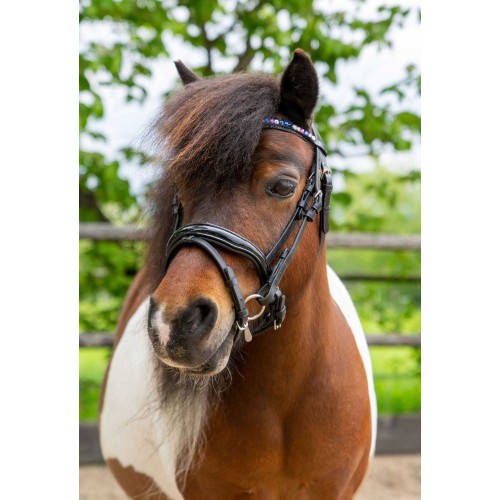HB Showtime Bridle Petit Royal Little Sizes