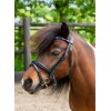 HB Showtime Bridle Petit Royal Little Sizes