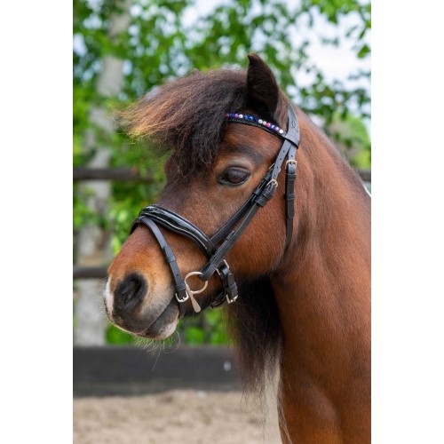 HB Showtime Bridle Petit Royal Little Sizes