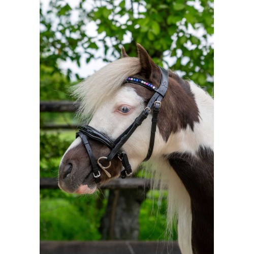 HB Showtime Bridle Petit Royal Little Sizes