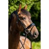 HB Showtime Sweet Dreams Bridle