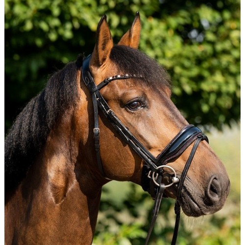 HB Showtime Sweet Dreams Bridle