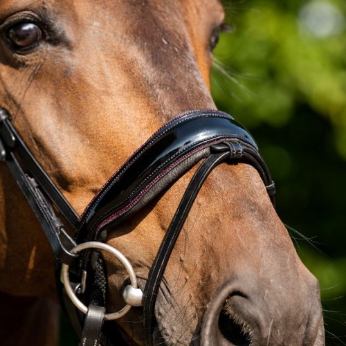 HB Showtime Sweet Dreams Bridle