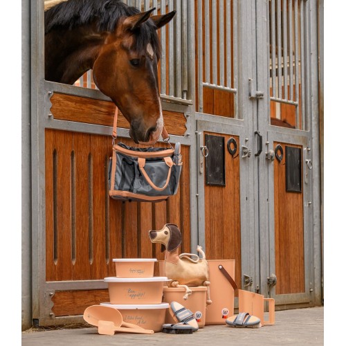 Waldhausen SS26 Flex body brush