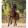 Waldhausen Overreach Boots Performance
