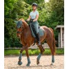 Waldhausen Overreach Boots Performance