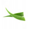Waldhausen Coat and Mane Spray Aloe Vera