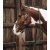 Kentucky Braided Nylon Halter