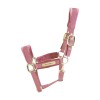 Kentucky Velvet Halter