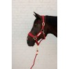 Kentucky Velvet Halter