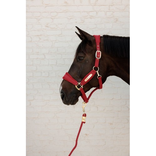 Kentucky Velvet Halter