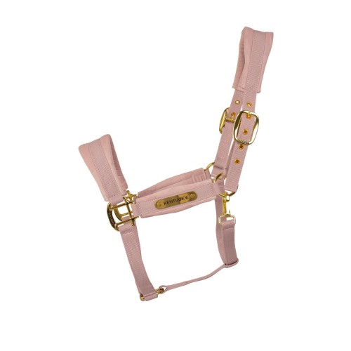 Kentucky Velvet Halter