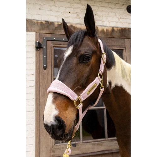 Kentucky Velvet Halter