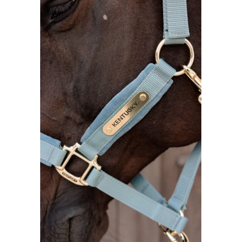Kentucky Velvet Halter