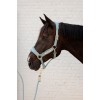 Kentucky Velvet Halter