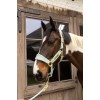 Kentucky Velvet Halter