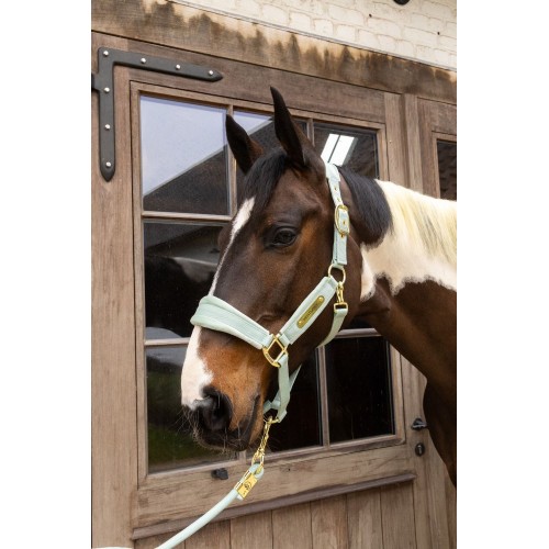 Kentucky Velvet Halter
