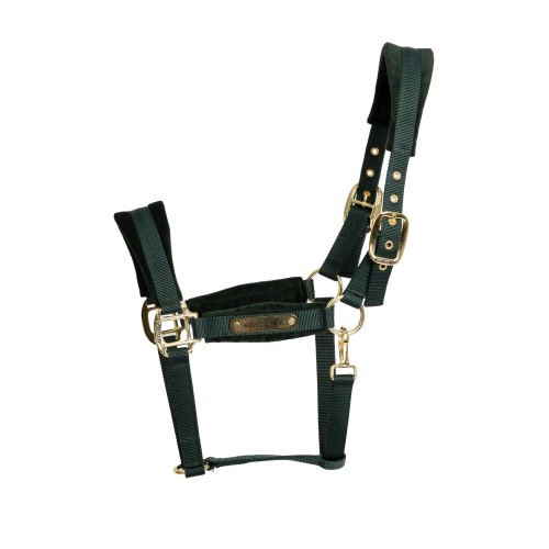 Kentucky Velvet Halter