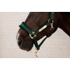 Kentucky Velvet Halter