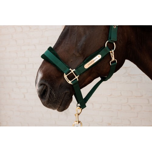 Kentucky Velvet Halter