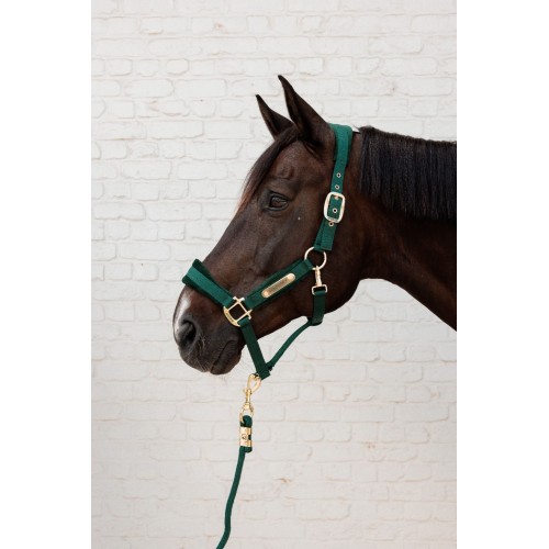 Kentucky Velvet Halter