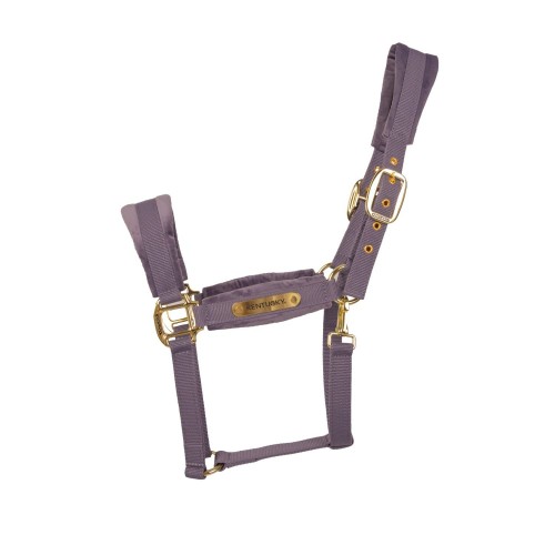 Kentucky Velvet Halter