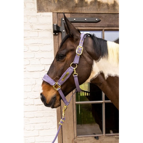 Kentucky Velvet Halter