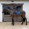 Kentucky Saddle Pad Velvet Horse printing Show Jumping