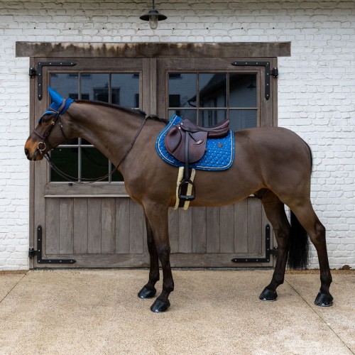 Kentucky Saddle Pad Velvet Horse printing Show Jumping